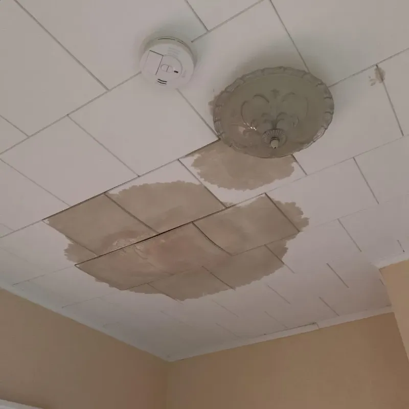 Ceiling Water Damage Repair in Mahnomen, MN
