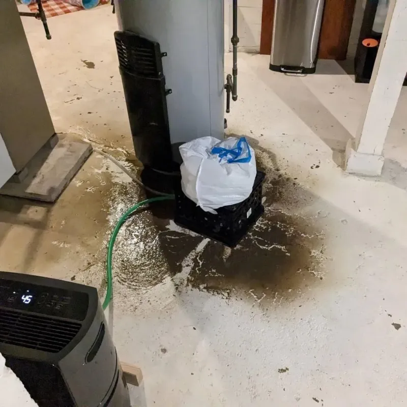 Sewage Backup Cleanup Service in Mahnomen, MN